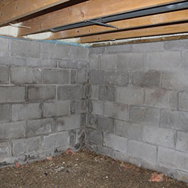 bare concrete walls in dirty crawl space | The Basement Doctor